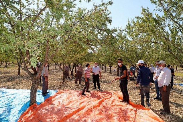 Demirci Kaymakamı Adem Kaya’ya Belediye Başkanı Selami Selçuk, İlçe Jandarma Komutanı Uğurcan Şahin, İlçe Tarım ve Orman Müdürü İslam Köse, Ziraat Odası Başkanı Mehmet Karakaya, Belediye Meclis Üyeleri Nurullah Ertaş, Hayati İmrenlerli ve Nurullah Akgün ile mahalle muhtarı Necati Kundakçı da eşlik etti.