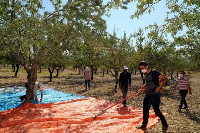 Etkinlikte konuşan Kaymakam Adem Kaya, bölgemizde toplam 7 Bin dekar badem bahçesi bulunuyor. Yapılan çalışmalar ve araştırmalar neticesinde gelecekte badem yetiştiriciliği ilçemizde oldukça yaygın ve profesyonel bir biçimde yapılacak. Araştırmaların ve bu tür etkinliklerin ilçemiz tarımının gelişmesine ciddi katkı sağlayacaktır.” dedi.