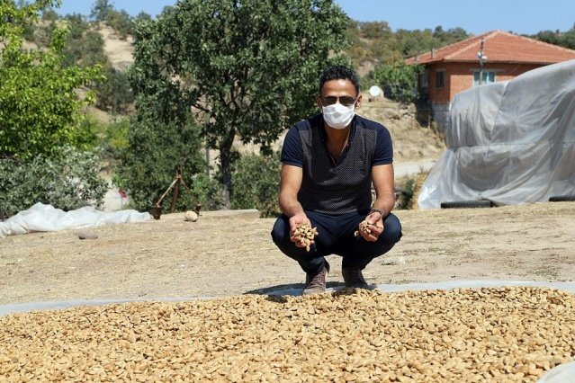 Demirci Kaymakamı Adem Kaya ilçemize bağlı Mezitler mahallesinde gerçekleştirilen badem hasadı etkinliğine katıldı. Kaymakam Adem Kaya üreticilerle bir süre sohbet edip birlikte badem hasadına katıldı.