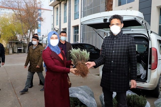 Birleşmiş Milletler Gıda ve Tarım Örgütü Türkiye Temsilciliği ile Manisa İl Tarım ve Orman Müdürlüğü tarafından yürütülen FAO Projesi kapsamında Demirci Halk Eğitim Merkezi Müdürlüğü tarafından “Tıbbi ve Aromatik Bitkilerin Yetiştiriciliği” kursunda eğitim alan kursiyerler için Demirci Kaymakamlığında Fide dağıtım töreni gerçekleştirildi.