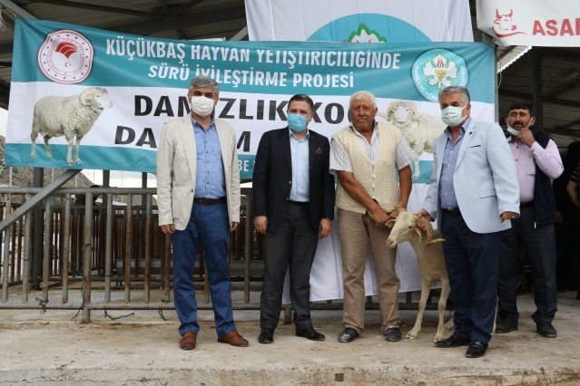 Başkan Ergün'ün Selamlarını İletti
Manisa Büyükşehir Belediye Başkanı Cengiz Ergün'ün selamlarını üreticilere ileten Kırsal Hizmetler Daire Başkanı Yılmaz Usta, "Manisa Büyükşehir Belediyesi olarak tarım ve hayvancılıkla ilgili yürüttüğümüz birçok projede tüm paydaşlarla her türlü işbirliği içerisinde sizlere faydası olacak çalışmaların içerisinde olmaya gayret ediyoruz. Bugün de bunlardan bir tanesi nedeniyle sizlerle bir aradayız. Daha önceden de İl Müdürlüğümüzle biyoteknik, biyolojik mücadelede, erken uyarı sisteminde, arıcılık konularında işbirliği yaptık. Büyükşehir Belediyesi olarak çiftçilerimizin gelirlerini artıracak her türlü çalışmanın içerisinde, tüm sektör paydaşları ile birlikte hareket etmeye hazırız. Bugün burada bulunan merinos, kıvırcık ve tahirova cinsi koçlarımızı TİGEM'den aldık. 140 adet damızlık koçu üreticilerimizle buluşturuyoruz" dedi.