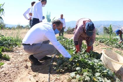 Ege Yaş Meyve Sebze İhracatçıları Birliği Başkanı Hayrettin Uçak, Yönetim Kurulu Başkan Yardımcısı Murat Ödül ve Yönetim Kurulu Üyesi Martin Sanford, yaş meyve sebze ve meyve sebzemamulleri üretiminde önemli merkezler Torbalı ve Kiraz'da üreticileri ve ihracatçı firmaları ziyaret etti.