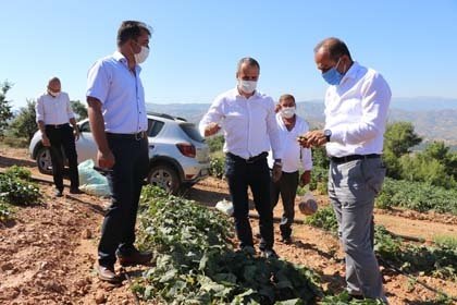 Ege Yaş Meyve Sebze İhracatçıları Birliği Başkanı Hayrettin Uçak ve beraberindeki heyet ilk olarak, Kiraz ilçesinde Mevsim Turşu markası ile ihracat gerçekleştiren Kirazlar Fermantasyon firmasını ziyaret etti. Burada firmanın Genel Müdürü Selahattin Uludağ ile yaklaşan turşu sezonu hakkında bilgi alışverişi yapıldı.