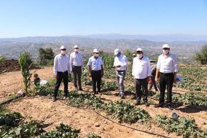 Üye İlişkileri Timi Kurduk


Ege Bölgesinde üretici ve ihracatçı firmaları vakit elverdiğince, ziyaret ettiklerini, pandemi döneminde ise pandemi şartlarına uygun şekilde ziyaretlerine devam ettiklerini, sorunlarını bire bir dinlediklerini ve sorunlarının çözümü konusunda takipçi olduklarını belirten Ege Yaş Meyve Sebze İhracatçıları Birliği Başkanı Hayrettin Uçak, "Göreve gelir gelmez bir ziraat mühendisi ve halkla ilişkiler uzmanından oluşan Üye İlişkileri Timi'ni kurduk. Bu ekibimiz bütün üyelerimizi periyodikziyaret ediyor, Üye İlişkileri Timimiz bu ziyaretleri Yönetim Kurulumuza sürekli rapor ediyor. Biz de üyelerimizin gündeme getirdiği konuların takipçisi oluyoruz" diye konuştu.
