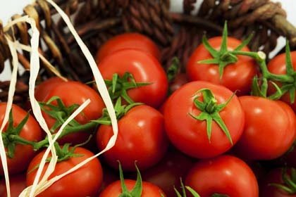 Dikili’de seracılık sektöründe Türkiye’nin en önemli firmalarından olan Agrobay Seracılık, yine seracılıkta önemli bir ihracatçı olan YDA Tarım ve seracılık yanında kurutulmuş meyve ve sebze ihracatı gerçekleştiren Fruve Gıda firmaları ziyaret edildi. Agrobay Seracılık ortaklarından Ahmet Şentürk, YDA Tarım Genel Müdürü Tahsin Sezgel ve Fruve Gıda sahibi Mehmet Mavuk ile tarım sektörü ve ihracata ilişkin bilgi alışverişinde bulunuldu