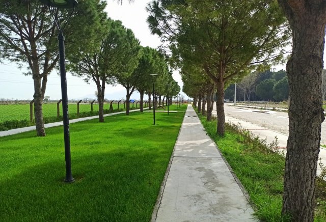 Saruhanlı Belediyesi Haziran ayı olağan meclis toplantısında, ilçedeki bin 500 öğrenci kapasiteli Yüksekokul binasının inşaatının tamamlanması için ihaleye çıkılması, çocuklara süt dağıtılması ve Zirai su depolarının Manisa Büyükşehir Belediyesinden Saruhanlı Belediyesine devredilmesi gibi önemli kararlar alındı.