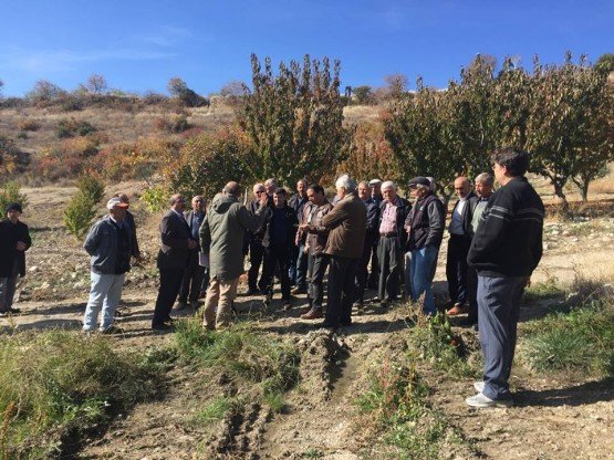 Demirci Kaymakamlığı Koordinatörlüğünde GTHB Demirci İlçe Tarım Müdürlüğü ve GTHB TAGEM Zeytincilik Araştırma Enstitüsü ( Bornova/İzmir) ortaklığı ile gerçekleşen ‘Demirci Organik Tarım Alanlarının Belirlenmesi ve Organik tarıma Kazandırılması ‘ Projesi kapsamında Organik Tarım eğitimi verildi.
Demirci Merkezde Bulunan Karaoklar Ekoljik Hayat Çiftliğinde gerçekleştirilen Eğitime İzmir TAGEM Zeytincilik Araştırma Enstitüsünden Dr. Alev Kır katıldı. Yapılan Eğitimde Organik tarım, organik tarımın ilkeleri, kompost yapımı, organik tarımın geliştirilmesi ve yaygınlaştırılması kapsamında atılacak adımlar, sertifikasyon süreçleri, gübreleme, budama, toprak işleme, sulama, Demircinin organik tarımdaki yeri, organik tarımda gelinen son noktalar konusunda bilgiler verildi. Ayrıca İlçe Müdürlüğü olarak detaylı bilgilendirme yapıldı. Karaoklar Ekoljik Hayat Çiftliği Kurucu Ortağı Orhan Aztekin de organik Tarıma nasıl ve ne amaçla başladığından bahsederek Çiftlik hakkında bilgilendirmelerde bulundu.
Yapılan eğitime İlçe Gıda Tarım ve Hayvancılık Müdürlüğü ve Demirci Ziraat Odası personelleri, Demirci’den ve İlçe dışından üreticiler katılım sağladı. Eğitimin ardından çiftlik gezilerek yapılan çalışmalar ve organik üretim hakkında bilgi alındı.