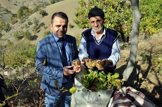 Kestanenin ilçemizde gelişmesi ve yaygınlaştırılması için her türlü çalışmayı desteklemekteyiz ve bu doğrultuda üreticilerimizin yanındayız. Çiftçilerimizin güzel bir hasat yılı geçirmelerini diliyor ürünlerinin bol, kazançlarının bereketli olmasını temenni ediyoruz.