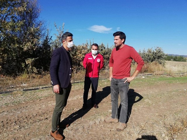 Hasat ile ilgili bilgi veren İlçe Tarım ve Orman Müdürü İslam Köse; İlçemizde İyi tarım uygulamaları yapan nadir çiftçilerden biri olan Fatih Atalay , mahallede kurmuş olduğu kapama meyve bahçeleri ile önemli bir işe imza atmış olmakla beraber, yurt dışına da ciddi ihracat yapmaktadır. Bu yıl 5 yaşında olan Ayva bahçesinden 10 ton hasat bekletilmekte ve büyük bir çoğunluğu ihracata gitmesi planlanmaktadır. Kendisini örnek bir çiftçi olması adına kutluyorum, dedi.
Hasatta Kaymakam Adem Kaya’ya; İlçe Tarım ve Orman Müdürü Müdürü İslam Köse, Orman İşletme Müdürü Tayfun Doğan, Belediye Meclis Üyeleri Nurullah Ertaş ve Hayati İmrenlerli, Ziraat Mühendisi Nesim Çevik eşlik etti