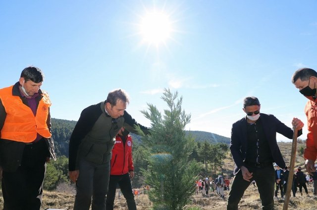 Demirci ilçesinde 11 Kasım “Milli Ağaçlandırma Gününde 5 Bin fidan toprakla buluştu. Tarım ve Orman Bakanlığınca Türkiye genelinde gerçekleştirilen Milli Ağaçlandırma Günü dolayısı ile Demirci'de de fidan dikim etkinliği yapıldı. Demirci Orman İşletme Müdürlüğünce Başalan mevkiinde 7 buçuk hektar alana fıstık çamı ve kızılçam fidanları dikildi. Demirci Kaymakamı Adem Kaya, Belediye Başkanı Selami Selçuk, Demirci Orman İşletme Müdürü Tayfun Doğan ve kurum amirleri, öğrenciler ve vatandaşlar alanda orman işletme müdürlüğünce temin edilen fidanları toprakla buluşturarak, can suyu verdiler.