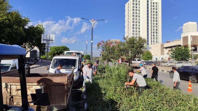 Manisa’da ki sokak, cadde ve meydanlarda bulunan yeşil alanlar yapılan bakım çalışmalarının ardından daha sağlıklı ve estetik bir görünüme kavuştu.