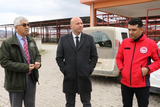 Projelerin Devamını Diliyoruz
 
Kula Tarım Orman Müdürü Bilgin Sarısu, “Manisa Büyükşehir Belediyemiz ve Tarım İl Müdürlüğümüzün ortak projesi. Tabi ki finansmanını Manisa Büyükşehir Belediyemiz sağlıyor. Buradaki temel amacımız, küçükbaş hayvancılıkta ari bir ırk elde etmek ve ırkın üreticilerimizin daha fazla gelir elde etmesine katkı sağlamak. Katkılarından dolayı Manisa Büyükşehir Belediyemize teşekkür ediyorum, inşallah çiftçilerimiz için hayırlısı olur, ilaveten Büyükşehir Belediyemizin projelerinin devamını bekliyoruz” diye konuştu.
 
Üreticiler Teşekkürlerini Dile Getirdi  
 
Manisa Büyükşehir Belediyesi ile İl Tarım ve Orman Müdürlüğü işbirliğinde hazırlanan proje ile damızlık koçlarını teslim alan üreticiler, mutluluklarını belirterek Manisa Büyükşehir Belediye Başkanı Cengiz Ergün’e teşekkür ettiler.
 
Kadir Yıldırım, ‘Büyükşehir Belediye Başkanı Cengiz Ergün’e ve İlçe Tarım Müdürlüğü’ne dağıtılan hayvanlar için teşekkür ediyorum. İnşallah sürülerimizin kalitesi artacak’.
 
Medine Yıldız, ‘Çok memnun oldum, Allah razı olsun. Cengiz Başkanımıza teşekkür ediyorum’.
 
Ahmet Çelebi, ‘Cengiz Ergün Başkanımıza katkılarından dolayı çok teşekkür ederim. Çok güzel bir koç aldık. Memnunum’.
 
Mikail Aydoğdu, ‘Çok güzel bir ırk koç verildi. Çok memnunuz. Teşekkür ediyorum’.
 
İdris Savaş, ‘Koç dağıtımı için başvuruda bulunduk. Başvurumuz kabul edildi. Büyükşehir Belediye Başkanımız Sayın Cengiz Ergün’e Kula’daki koç dağıtımı için çok teşekkür ediyorum’.
 
Ragıp Aydın, ‘Koç dağıtımı için Manisa Büyükşehir Belediyesine ve İlçe Tarım Müdürlüğü’ne teşekkür ederim’.
 
Mehmet Köse, ‘Manisa Büyükşehir Belediyesi’ne ve Başkanımız Cengiz Ergün’e koç dağıtımı için teşekkür ediyorum’.