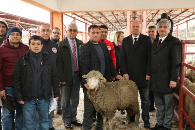 Öztozlu, ‘Sürü Kalitesi İyileştirilerek Verim Arttırılacak’
 
Damızlık koç dağıtımının ardından açıklamalarda bulunan Genel Sekreter Yardımcısı Ali Öztozlu, “Merkezde, Akhisar’da, Salihli’de, Kula’da koç dağıtım törenlerimizi gerçekleştirdik. Bu sonuncusu. Toplam, 200 koçumuz üreticimizle buluşturduk. Manisa Büyükşehir Belediyesi ve İl Tarım Orman Müdürlüğünün ortak proje kapsamında küçükbaş hayvan yetiştiriciliğinde sürü kalitesini geliştirmek amacıyla yaptığımız bir proje. Bu proje sayesinde verim daha fazla artacak. Vatandaşlarımız, üreticilerimiz memnun” dedi.