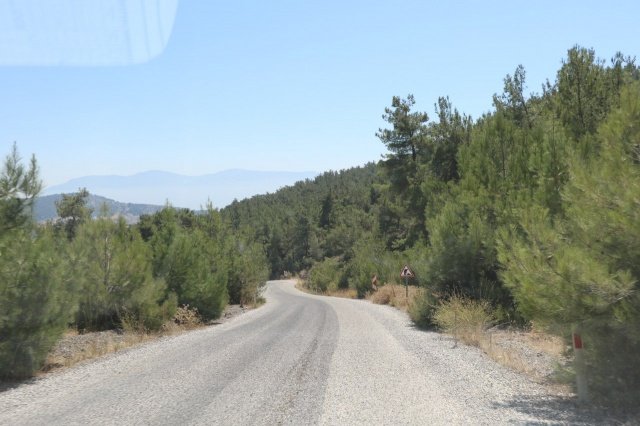 Manisa Büyükşehir Belediyesi Muhtarlık İşleri Dairesi Başkanlığı, yol yapım çalışmaları tamamlanan Yunusemre ilçesine bağlı Bağyolu, Avdal ve Osmancalı mahallelerinin muhtarlarıyla bir araya geldi.