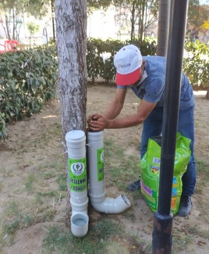Saruhanlı'da sokak hayvanlarının aç ve susuz kalmaması için Saruhanlı Belediyesi tarafından ilçenin çeşitli noktalarına yeni beslenme üniteleri yerleştirildi.