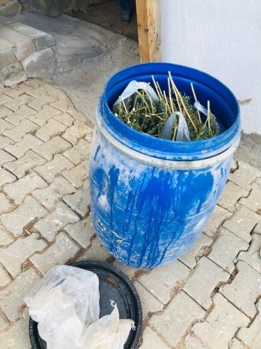 Manisa ili Şehzadeler ilçesi Sancaklıçeşmebaşı Mahallesinde  28.09.2021 günü saat:17.30 sıralarında, İl Jandarma Komutanlığı JASAT Timi ve Şehzadeler İlçe Jandarma Komutanlığı ekiplerince yapılan  istihbari çalışmalar sonucunda; M.S(1956/E) isimli şahsın  tapulu arazisi içinde bulunan baraka ve eklentilerinde Uyuşturucu Madde Arama Köpek Unsuru ile birlikte yapılan aramada; toplam 3.371 gr Kubar Esrar, 151 gr Kenevir Tohumu, 1 adet elektronik hassas tartı ve barakaya 25 metre mesafede ormanlık alan içerisinde ekili vaziyette boyları 20 cm ile 30 cm arasında değişen 30 Kök Kenevir Bitkisi ele geçirilmiştir. Olay Cumhuriyet Savcısına bildirilerek adli tahkikata başlanılmıştır.