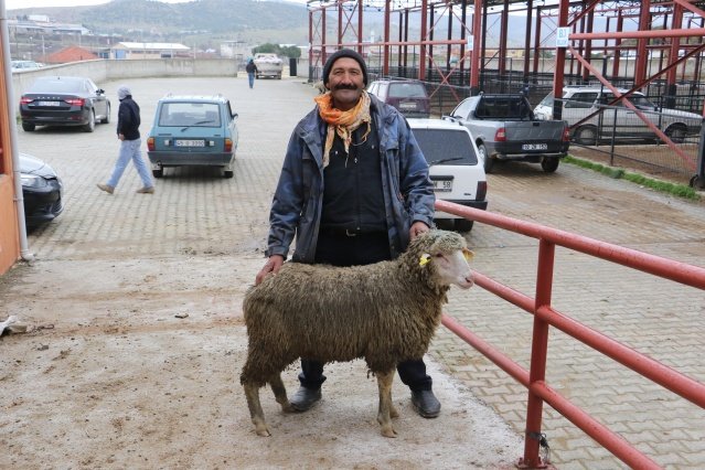 Manisa Büyükşehir Belediyesi ile İl Tarım ve Orman Müdürlüğü işbirliğinde hayata geçirilen ‘Küçükbaş Hayvan Yetiştiriciliğinde Sürü Kalitesinin İyileştirilmesi Projesi’ kapsamında damızlık koç dağıtım programı Kula’da noktalandı. Kula Hayvan Pazarı'nda gerçekleştirilen törenle Kula, Selendi ve Demirci ilçelerinde bulunan üreticilere yüzde 75 hibe destekli olarak merinos ve kıvırcık cinsi 53 adet damızlık koç dağıtılırken; Mart ayı içerisinde Büyükşehir Belediyesi tarafından 200 adet koç üreticilere teslim edildi.