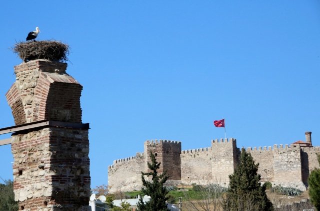Tarihi ve kültürel değerleriyle olduğu kadar doğal zenginlikleriyle de dikkat çeken bir kent olan Efes Selçuk’ta leylekler kent sembollerinden biri olarak biliniyor.  Sayıları yıllara göre değişiklik göstermekle birlikte Efes Selçuk’ta önemli bir leylek popülasyonu varlığını sürdürüyor.