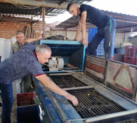 Yeni Ticaret Bakanı Mehmet Muş’a bir mektup gönderen Bakırlıoğlu Türkiye’nin hem zeytin ağacı sayısı hem de üretim miktarı ile önemli bir zeytin ve zeytinyağı ülkesi olduğunu, Zeytin ve zeytinyağı stratejik önem sahip ürünler olduğunu hatırlattı.

İhracat yasağı kararından sonra çiftçinin elindeki zeytinyağının fiyatının düştüğünü belirten CHP’li Bakırlıoğlu mektubunda; her yıl rekolte tahmini yapan Ulusal Zeytin Ve Zeytinyağı Konseyinin 2020-2021 sezonu zeytinyağı rekolte tahmini 170 bin tondur. Geçen yıldan kalan 40 bin ton stok ve Suriye’den getirilen 20 bin ton zeytinyağı ile birlikte ihtiyacımızın üzerinde bir zeytinyağı varlığımız oluşmuş durumdadır.

Yani ülkemizde ihtiyaçtan fazla zeytinyağı bulunmaktadır. Kaldı ki diğer bitkisel yağ fiyatları aşırı şekilde artarken zeytinyağı fiyatı değişmemiştir.