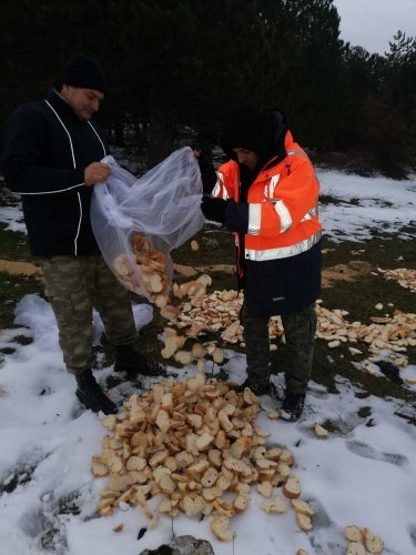 Gördes Belediyesi ve Gördes Off - Road ekibi, doğa hayatını korumak amacıyla kar yağışı sonrası doğada yiyecek sıkıntısı çeken canlılar için Gökseki bölgesinin farklı noktalarına yem ve bayat ekmek bıraktılar.