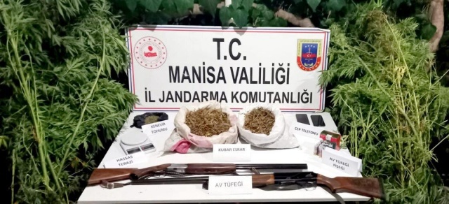 *KONU:* Uyuşturucu Madde İmal ve Ticareti. Manisa İl J.K.lığı KOM Şube Md.lüğü ekiplerince, Manisa ili Sarıgöl ilçesi Şeyhdavutlar Mah.de M.B. ve N.B. isimli şahısların ikamet ve bahçelerinde yapılan aramada; -(152) Kök Kenevir Bitkisi, -(5.450) gr. Kubar Esrar, -(150) gr. Kenevir Tohumu, -(1) Ad. Hassas Terazi, -(2) Ad. Ruhsatsız Av Tüfeği ele geçirilmiş olup, şahıslar hakkında adli tahkikata başlanmıştır.