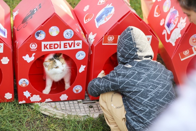 Yavrularımız hem enerjilerini attı hem de eğlenerek yeni şeyler öğrendi. Çocuk atölyemize katılan minikler aileleri ile birlikte ürettikleri kedi evlerini ilçemizin dört bir yanında belirledikleri yerlere yerleştirecekler. Bu evler soğuk havalarda ısınma sorunu yaşayan, araba kaputlarına giren kedilerimize sıcak birer yuva olacak. Emeği geçen katılan herkese teşekkür ederim. Bu tarz etkinliklerimize düzenli olarak devam edeceğiz” dedi.