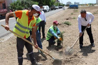 Gelecek nesillere daha yeşil, daha sağlıklı ve daha yaşanabilir bir Akhisar bırakmak için çalışmalarını sürdürdüklerini ifade eden Akhisar Belediye Başkanı Besim Dutlulu, Çevre Koruma (Çevkor) Dergisi ile ortaklaşa 1000 adet fidanı toprakla buluşturdu. Belediyeye ait olan fakat yıllardır atıl duran arazileri, Toros sediri fidanları yeşillendiren Akhisar Belediyesi, Atatürk, Hürriyet, Efendi ve Kayalıoğlu Mahallelerindeki 10 bin metrekarelik arazilerinde çalışmalarını sürdürüyor.