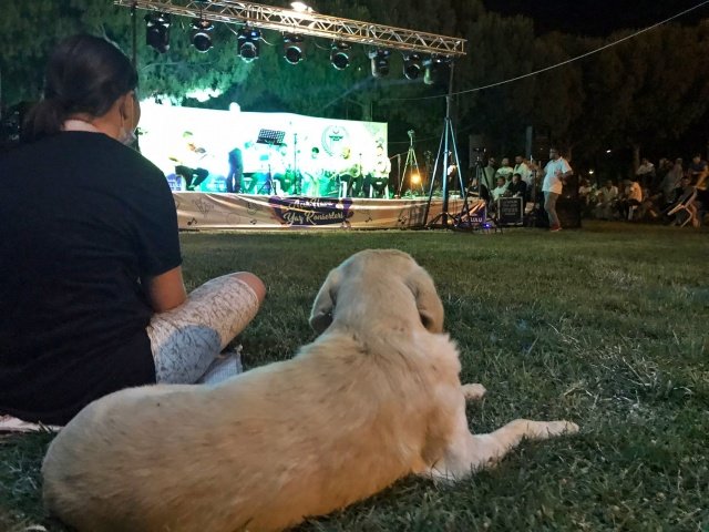Akhisar Belediyesi Hüsnü Kahraman Kültür Parkı Gölet alanında kurulan sahnede geceye farklı bir renk katan Grup Laço, seslendirdiği birbirinden güzel şarkılarla Akhisarlıları coşturdu. Öte yandan geçen hafta Hacıishak Mahallesinde hayata geçen Açık Hava Yaz Konserlerinin, önümüzdeki günlerde farklı merkez ve kırsal mahallelerde devam edeceği belirtilirken, konserler sayesinde kentte yaşayan yerel sanatçılara da destek olunduğunun altını çizdi.