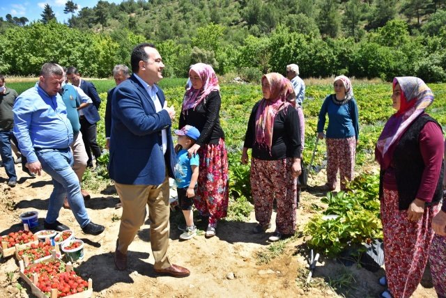 “PROJEMİZİN İLK MEYVELERİNİ TOPLADIK”
Tarımsal üretime oldukça önem verdiklerini belirten Başkan Besim Dutlulu, “Geçtiğimiz yıl Ağustos ayında, şehrimizde alternatif tarım ürünleri yetiştirmek ve çiftçilerimizi desteklemek için bir proje başlatmıştık. Bugün Yayakırıldık Mahallemizde, o projemizin meyvelerini topluyoruz. Köylerimizde tarımsal üretimi canlandırmaya ve kadın çiftçilerimizi desteklemeye devam edeceğiz.