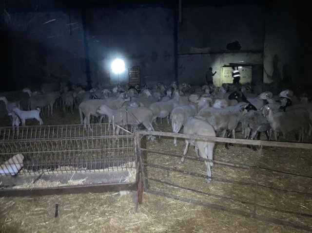 Olay ile ilgili olarak Nöbetçi Cumhuriyet Savcısına bilgi verilmiş olup tahkikata başlanılmıştır.