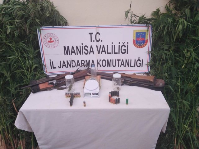Turgutlu İlçesi Urganlı Mahallesinde Uyuşturucuyla Mücadele kapsamında yapılan istihbari çalışmalar sonucu; 08.07.2021 günü saat 18.00 sıralarında şüpheli M.A. (Erkek-63), A.A.(Erkek-35) ve Ö.A.(Erkek-34) isimli şahısların ikametlerinde yasadışı kenevir ekimi yaptıkları bilgisi elde edilmiştir. Adli makamlardan alınan arama kararına istinaden şüphelilerin evlerinde yapılan aramada 5 gr kubar esrar, esrar içiminde kullanılan aparat, 2 adet Çifsan marka ruhsatsız av tüfeği ve 27 adet 12 cal dolu fişek, 1 adet dijital hassas terazi ele geçirilmiştir. Şüpheli şahısların ortak kiraladıkları Karaköy Mahallesi Geribaşı Mevkisinde 3 dönümlük arazide, Turgutlu İlçe Jandarma Komutanlığı, Ahmetli İlçe Jandarma Komutanlığı Ekiplerimiz, 9'uncu Jasat Timi ve Kaçakçılık ve Organize Suçlarla Mücadele Şube Müdürlüğü Ekiplerince müşterek yapılan operasyonda, üzüm bağı içerisine ekilmiş, bakımları yapılmış vaziyette boyları 1 m ile 2,5 m arasında değişen 195 kök kenevir bitkisi ele geçirilmiştir. Olayla ilgili Cumhuriyet Savcısına bilgi verilerek tahkikata başlanılmıştır. Şüpheli şahıslar Turgutlu İlçe Jandarma Komutanlığı ekiplerince yakalanarak gözaltına alınmıştır. 09.07.2021 günü Adli Makamlara sevk edilecektir.