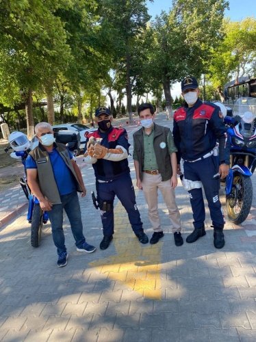 Manisa ili Akhisar İlçesi Kayalıoğlu Mahallesinde 09.07.2021 günü saat: 09.00 sıralarında Akhisar İlçe Jandarma Komutanlığı ekiplerince icra edilen önleyici kolluk devriyesi esnasında yol kenarında 1 adet yaralı vaziyette kukumav baykuş yavrusu bulunmuş olup; Yaralı Kukumav Baykuş veteriner hekim tarafından gerekli kontrollerinin yapılmasına müteakip uygun koşullarda doğal yaşama geri kazandırılması amacıyla Doğa Koruma ve Milli Parklar Şube Müdürlüğü personeline teslim edilmiştir.