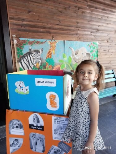 Manisa Büyükşehir Belediyesi Çocuk Kültür ve Sanat Merkezleri, 4 Ekim Hayvanları Koruma Günü dolayısıyla can dostlarımız için mama bağışında bulundu. Hazırladıkları dövizlerle Hayvanları Koruma Günü’nü kutlayan Büyükşehir’in minikleri, “Doğadaki dostlarımızı koruyalım” mesajıyla yine kendi hazırladıkları mama toplama kutularına mama bıraktılar.