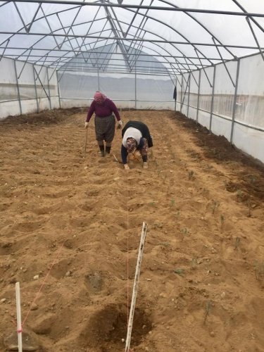 Üretime Destek Oluyoruz
Demirci’de kurulumu gerçekleşen sera hakkında bilgi veren Kırsal Hizmetler Dairesi Başkanı Yılmaz Usta, “Manisa Büyükşehir Belediye Başkanlığımız ve Demirci Kaymakamlığı arasında imzalanan protokol kapsamında ilçede 500 metrekarelik seranın kurulumunu gerçekleştirdik. Kurmuş olduğumuz serayı Demirci Kaymakamlığı’na tahsis etmiş bulunmaktayız. Üreticilerimize destek olmak amacıyla Manisa Büyükşehir Belediye Başkanımız Cengiz Ergün’ün talimatları ile çalışmalarımız sürdürüyoruz. İlçemize hayırlı olsun” diye konuştu.