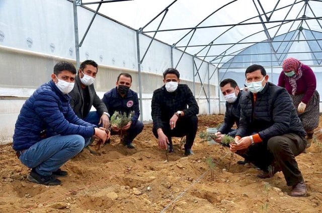 Büyükşehir’in Serası Sayesinde, Demirci Lavanta Kokacak

Manisa Büyükşehir Belediyesi ile Demirci Kaymakamlığı arasında imzalanan protokol kapsamında ilçede 500 metrekarelik seranın kurulumu gerçekleşti. Manisa Büyükşehir Belediyesi tarafından yüzde 100 hibeli olarak Demirci Kaymakamlığı’na tahsis edilen serada, üreticilere dağıtılmak üzere lavanta fidelerinin dikimi gerçekleştirildi.