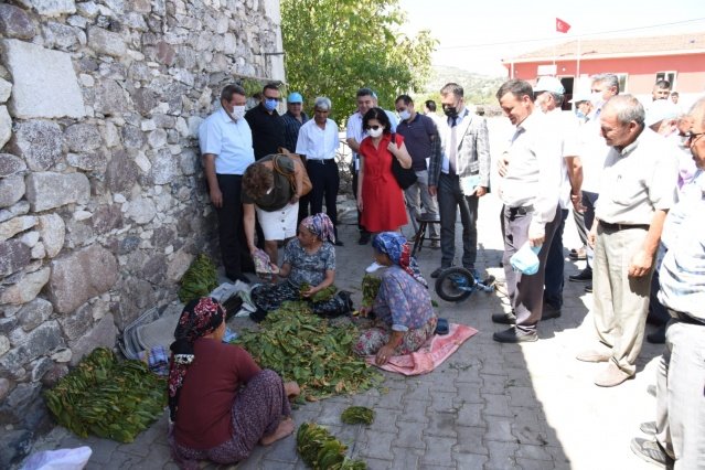 Manisa Büyükşehir Belediyesi ve MASKİ yetkililerinden oluşan heyet Selendi ilçesine bağlı Avlaşa ve Şehirlioğlu mahallelerini ziyaret etti. Mahalle muhtarları ve mahalleliler yapılan yatırımlardan duyduğu memnuniyeti dile getirdi.