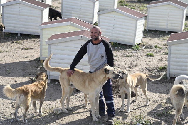 Sanat ve Eğitim Faalliyetleri de İncelendi
Komisyonun Akhisar programına Akhisar Belediye Başkanı Besim Dutlulu ve eşi Özge Dutlulu, Manisa Büyükşehir Belediye Başkanı Ferdi Zeyrek’in eşi Nurcan Zeyrek, Manisa Büyükşehir Belediye Meclisi Sokak Hayvanları Komisyonu Başkanı Uğur Doğan, Akhisar Belediye Başkan Yardımcısı Ekrem Kayserili, Salihli Belediye Başkan Yardımcısı Selim Akbıyıkoğlu, Sağlık İşleri Koordinatörü Derya Hüner, Veteriner İşleri Müdürü Orhancan Önlü ve Belediye Meclis Üyeleri Cafer Çeniz, Emre Okkalı, Hüseyin Çelik ile Uğur Leylek katıldı. Akhisar ilçe programı kapsamında, kültür sanat çalışmalarının yapıldığı Uğur Mumcu Kültür Merkezi de ziyaret edildi.