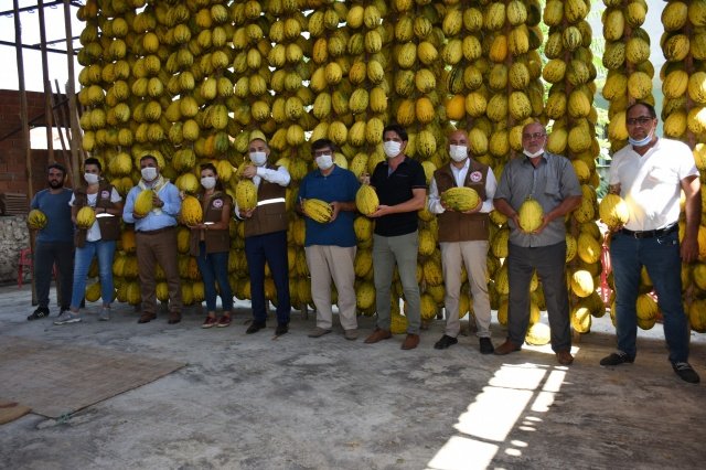 Hasat çalışmalarını yerinde incelemek amacıyla 01.09.2020 tarihinde Kırkağaç İlçesi’ne giden Manisa İl Tarım ve Orman Müdürü Metin Öztürk, İl Müdür Yardımcısı Melikşah Taşkın, Bitkisel Üretim ve Bitki Sağlığı Şube Müdürü Gökmen Kaya, Kırkağaç İlçe Tarım ve Orman Müdürü Cihan Doğan, Kırkağaç Ziraat Odası Başkanı Emin Özarı, konu uzmanı teknik personeller ve üreticilerle birlikte kavun hasadı gerçekleştirdi.
