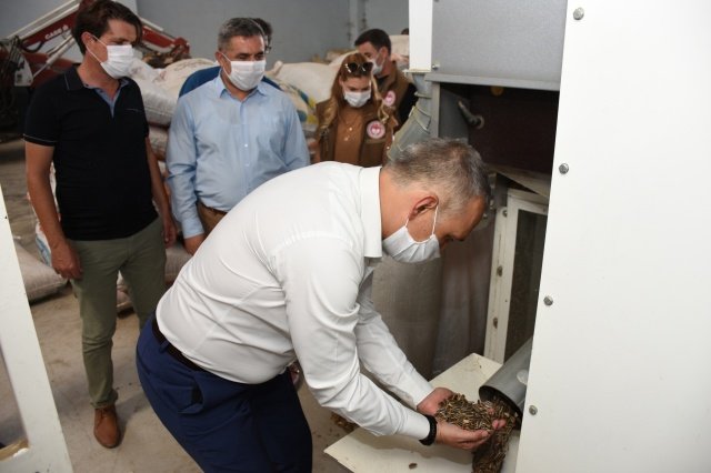 Hasat çalışmalarını yerinde incelemek amacıyla Kırkağaç İlçesi’ne giden Manisa İl Tarım ve Orman Müdürü Metin Öztürk, İl Müdür Yardımcısı Melikşah Taşkın, Bitkisel Üretim ve Bitki Sağlığı Şube Müdürü Gökmen Kaya, Kırkağaç İlçe Tarım ve Orman Müdürü Cihan Doğan, Kırkağaç Ziraat Odası Başkanı Emin Özarı, konu uzmanı teknik personeller ve üreticilerle birlikte Ayçiçeği hasadı gerçekleştirdi