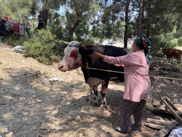 Hayvan yemi olarak kullanılacak otların depolanmadan önce iyice
kurutulduğundan emin olunmalıdır.