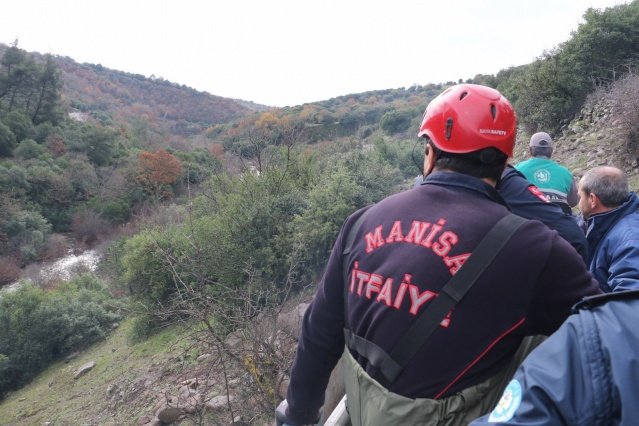 İnekler otlarken sürüdeki bir inek, uçurumdan düştü ve dere yatağının kenarına yuvarlandı.