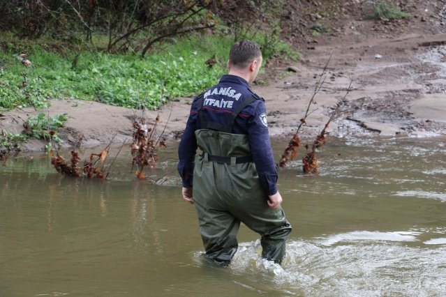 Yunusemre ilçesi Asmacık mahallesindeki Pamuklu mevkiinde Bahattin Gürdal’a ait 8 aylık gebe inek 40 metreden uçuruma yuvarlandı.