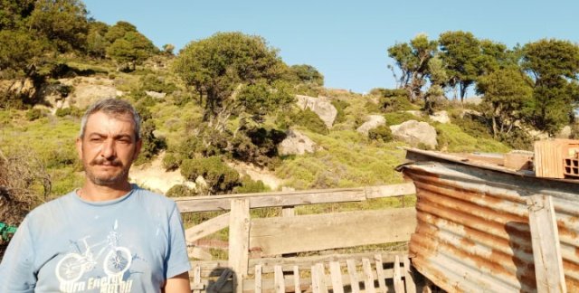KUZU AVI NASIL YAPILIYOR?

Gökçeada koyunu tamamen doğal yetişmesinin yanı sıra kültürel boyutu ile de dikkat çekiyor. Hayvanlar toplanırken dünyanın diğer örneklerinde olduğu gibi uyuşturucu iğne yöntemi kullanılmazken, birkaç sürü sahibi kilometrelerce çekilen tel boyunca hayvanları kovalayarak ağıla sokuluyor. Kapanan hayvanların önce kırkımı ve bakımı yapılıyor, daha sonra içinden kesimlik kuzu ve bir önceki yıldan bırakılan kurbanlıklar seçiliyor.

Doğada özgür gezen Gökçeada koyunlarının toplanma işlemine madra adı veriliyor. Türklerin ve Rumların birlikte yaşadığı Gökçeada’da “Madra Tipi” hayvancılık ortak bir kültür. Madra, ortaasya kökenli bir Türkçe kelime olmasına karşın adada Rum vatandaşların telaffuz şekli ile kullanılıyor.

Gökçeada’da “Gökçeada Koyunu” yetiştiriciliği yapan Mehmet Tunç kurbanlıkların kesimlik kuzular ile birlikte madra yöntemiyle, hayvanlara hiç bir zarar verilmeden toplandığını vurgularken, Gökçeada yetişen kurbanlıklarla ilgili şu bilgileri verdi: “Gökçeada, dört tarafı denizle kaplı olmasına karşın kırmızı etiyle tanınan bir yer. Özellikle adaya kuzu yemeye gelen insanlar var. Etimizin tüm Türkiye’de bilinirliği, Çanakkale İli Damızlık Koyun Keçi Yetiştiricileri Birliği sayesinde arttı. Bu bilinirlik adada kurbanlık satışlarına da yansıdı. Özellikle yaz aylarını adada geçiren yazlıkçılar yoğun ilgi gösteriyor.”