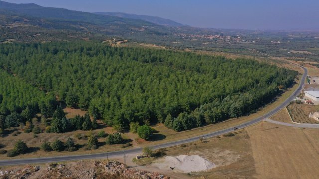 SARUHANLI'YA "HALK BAHÇESİ" YAPILACAK

Saruhanlı Belediye Başkanı Zeki Bilgin, Alibeyli ile Bedeller mahallesi arasında kalan ve mülkiyeti Saruhanlı Belediyesi ait olan 43 dönümlük ormanlık alanı mesire alanına dönüştüreceklerinin müjdesini verdi.