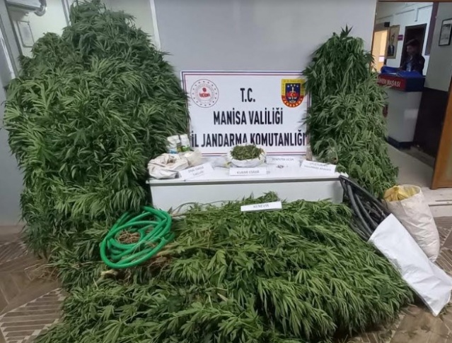 -Uyuşturucu Madde İmal ve Ticareti
-Yasadışı Ekim

AÇIKLAMA Manisa İl J.K.lığı KOM Ş. Md.lüğü ekiplerince yapılan istihbari çalışmalar neticesinde 6 ayrı suçtan hakkında yakalama kaydı bulunan, aynı zamanda cezaevi firarisi olup kesinleşmiş 15 yıl 6 ay 7 gün hapis cezası bulunan E.S (1993/E) isimli şahsın 5 farklı bölgeye kenevir bitkisi ektiği tespit edilmiştir. Yunusemre İlçe J.Klığı ve Manisa il J.K.lığı JASAT ekipleriyle yapılan müşterek faaliyette şahıs ekim yaptığı arazide sulama yaptığı esnada suç üstü yakalanmıştır. Arazide yapılan aramada;

- (415)  Kök Kenevir,
- (2.234) Gr. Kubar Esrar,
- (6) Ad. Sentetik Ecza Hap,
- (2) Ad. Uyuşturucu Madde İçme Aparatı ele geçirilmiştir.

E.S isimli şahıs hakkında C.Savcılığı talimatları doğrultusunda adli işlemlere başlanmıştır.