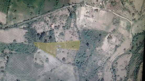 SATILIK TARLA
Demirci Bahçeler Mahallesi Kanlıçukur mevkiinde bulunan, içine araç ile rahatlıkla girilebilen, içerisinde suyu mevcut, istek halinde yol yakınlığı nedeniyle elektrik alınmaya da çok müsait, içerisinde 50 ye yakın Antep fıstığı ağacı dikili, şehre yakınlığı nedeniyle hobi bahçesi olarak da kullanıma çok uygun olan 4 dönüm tarla satılıktır.
Almak isteyenlerin 0 542 307 51 72 numaralı telefonu arayarak bilgi almaları ilan olunur.