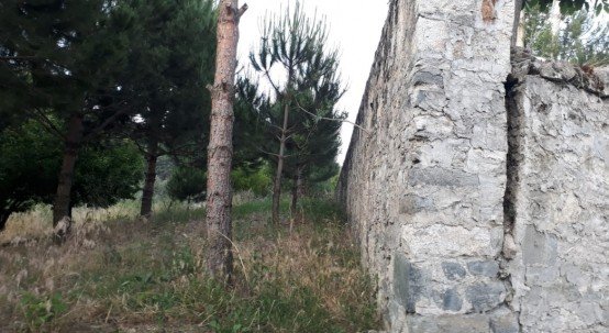 SATILIK ARAZİ

Demirci ilçe merkezine 5 kilometre uzaklıkta,Değirmen deresi, Gâvur değirmeni olarak bilinen mevkide ana yoldan içine kadar giren yolu bulunan, içinde suyu elektriği mevcut, iki katlı halen kullanılabilir durumda köşkü olan, içinde dikili 150 adet fıstık çamı, 40 adet kiraz, 20 adet zeytin, 20 adet ceviz ve muhtelif ağaçlar olan, etrafı taş duvarla çevrili arazi satılıktır.
Almak isteyenlerin 0 534 844 70 14 numaralı telefonu aramaları ilan olunur…