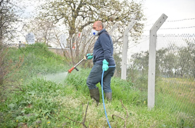 Manisa Büyükşehir Belediyesi Mezarlıklar Dairesi Başkanlığı Mezarlıklar Bakım-Onarım Şube Müdürlüğü ekipleri, yaklaşan Ramazan Bayramı nedeniyle mezarlıkların temizlenmesi ve düzenlenmesi için kapsamlı bir çalışma yürütüyor.