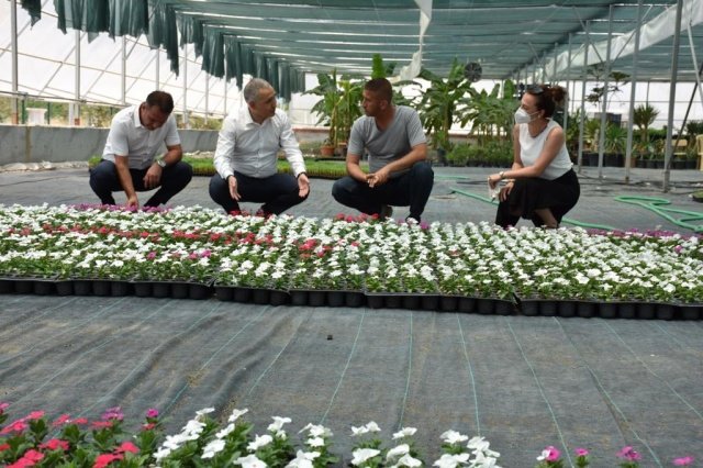 Manisa Büyükşehir Belediyesinin Şehzadeler ilçesine bağlı Karaoğlanlı Mahallesi’nde kendi peyzaj bitkilerini yetiştirmek amacıyla kurduğu sera, İl Tarım ve Orman Müdürü Metin Öztürk’ü ağırladı. Serada incelemelerde bulunan ve Kent Estetiği Dairesi Başkanı Hakan Göktaş’tan bilgi alan Öztürk, seranın kurulmasında başta Büyükşehir Belediye Başkanı Cengiz Ergün olmak üzere emeği geçen herkese teşekkür etti.