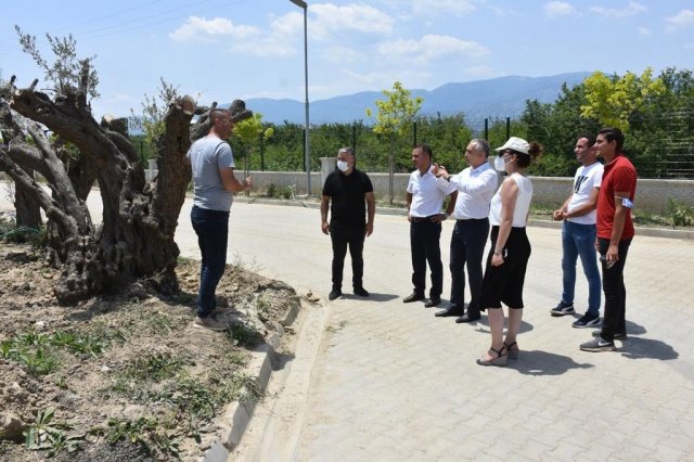 Ortak Projeler İstişare Edildi
İl Tarım ve Orman Müdürlüğü ve Manisa Büyükşehir Belediye Başkanlığıyla ortak geliştirilecek projelerin de görüşüldüğü ziyarette seranın önemine dikkat çeken İl Tarım ve Orman Müdürü Metin Öztürk, seranın kurulmasında başta Büyükşehir Belediye Başkanı Cengiz Ergün olmak üzere emeği geçen herkese teşekkür etti. Ziyareti nedeniyle Öztürk’e teşekkür eden Kent Estetiği Daire Başkanı Hakan Göktaş da, Büyükşehir Belediyesinin kendi serasında peyzaj bitkilerini yetiştirerek, hem önemli tasarruf sağladığını hem de şehrin yapısına uygun bitkilerin yetiştirildiğini ifade etti. Ziyarette ayrıca 2021 yılında devam eden projeler hakkında fikir alışverişi yapılarak, 2022 yılı içerisinde gerçekleştirilecek olan ortak projeler hakkında istişarelerde bulunuldu.